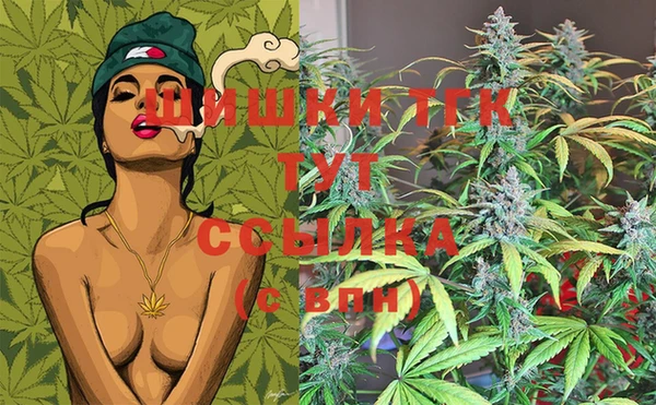 индика Верея