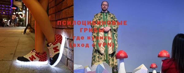 дживик Верхний Тагил