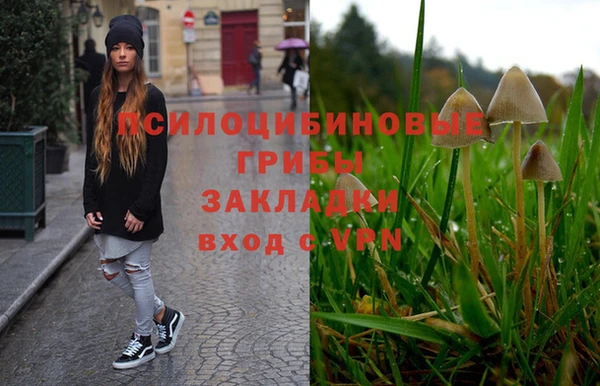 дживик Верхний Тагил