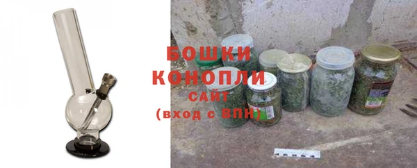 дживик Верхний Тагил