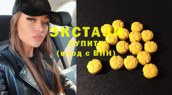 индика Верея