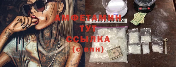 индика Верея