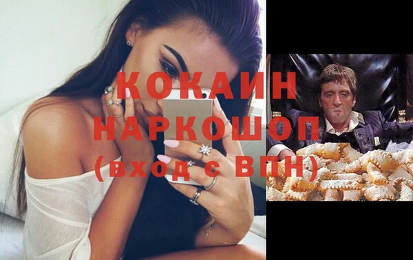 дживик Верхний Тагил