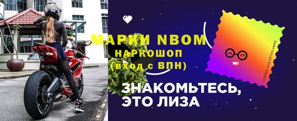 дживик Верхний Тагил